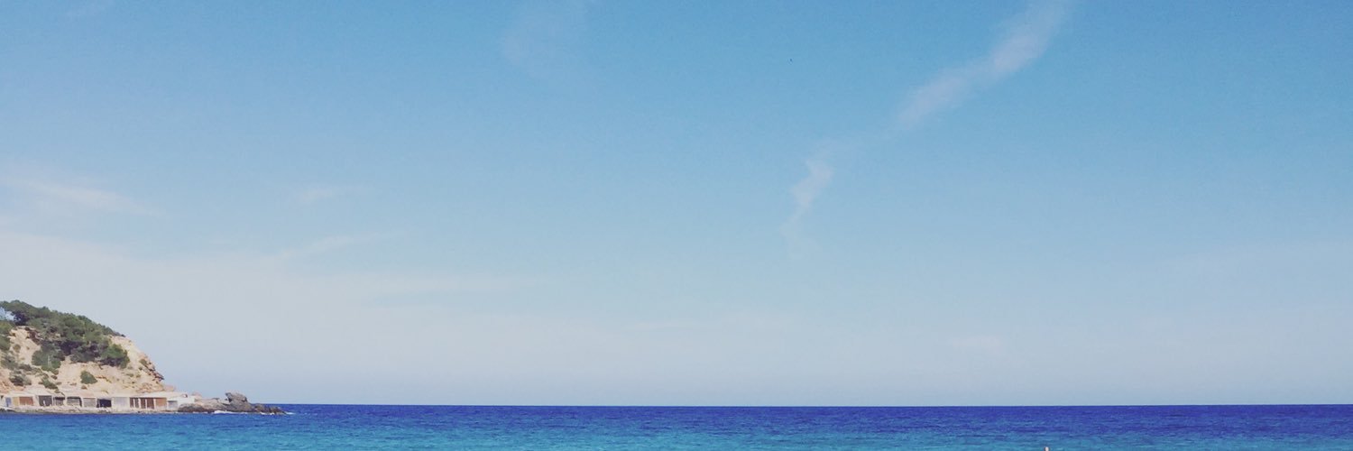 ingemeijs's profile banner image