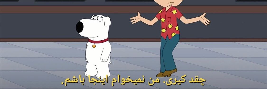 PPPP banner