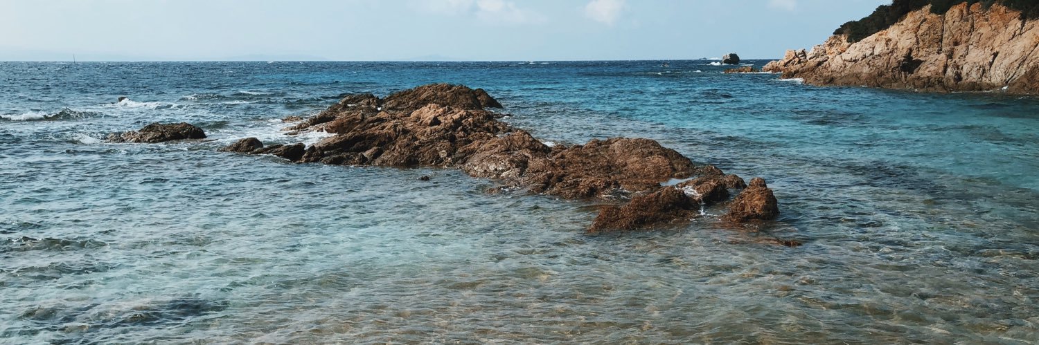 Céline D’Agostini banner