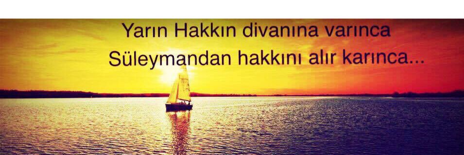 sedatbinici's profile banner image