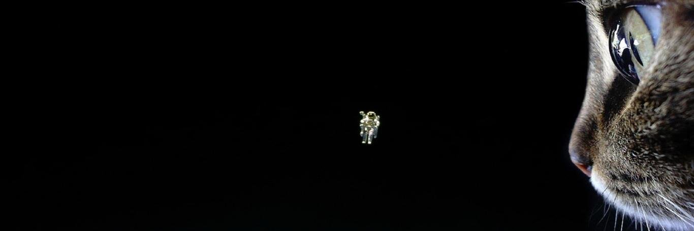 earthbound01's profile banner image
