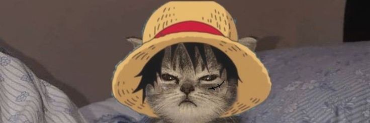 demonkking3's profile banner image