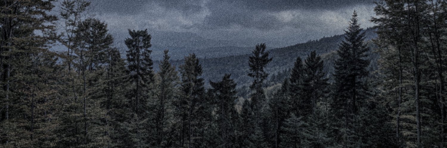 bibibenc's profile banner image