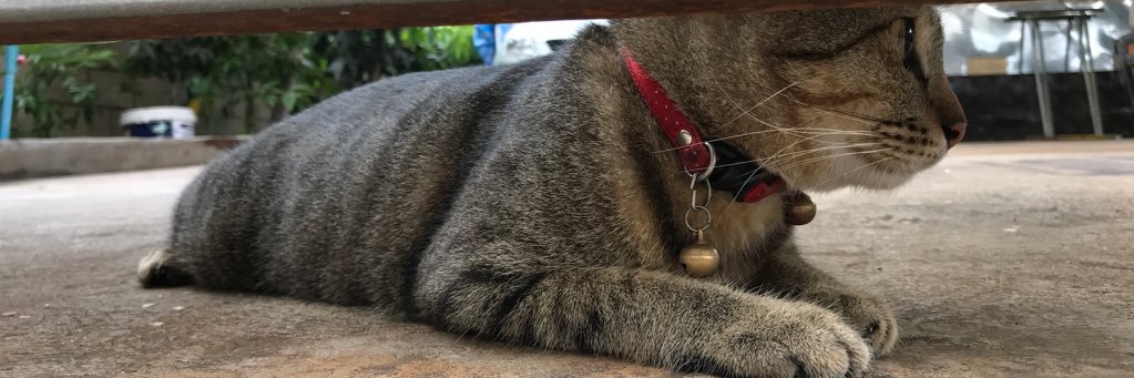 stkeaw's profile banner image