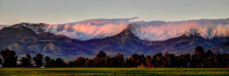 idahodent's profile banner image