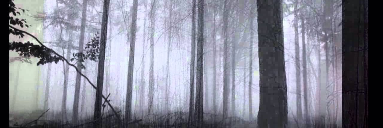 spazticfolderol's profile banner image