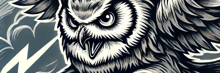 D. Everett Caraway banner