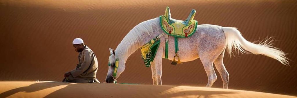 YoussefFouda1's profile banner image