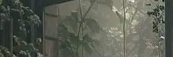 ozha000's profile banner image