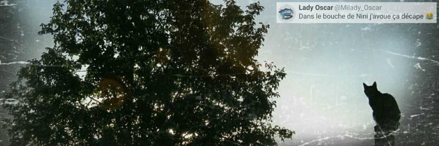 Nini_MacBright's banner