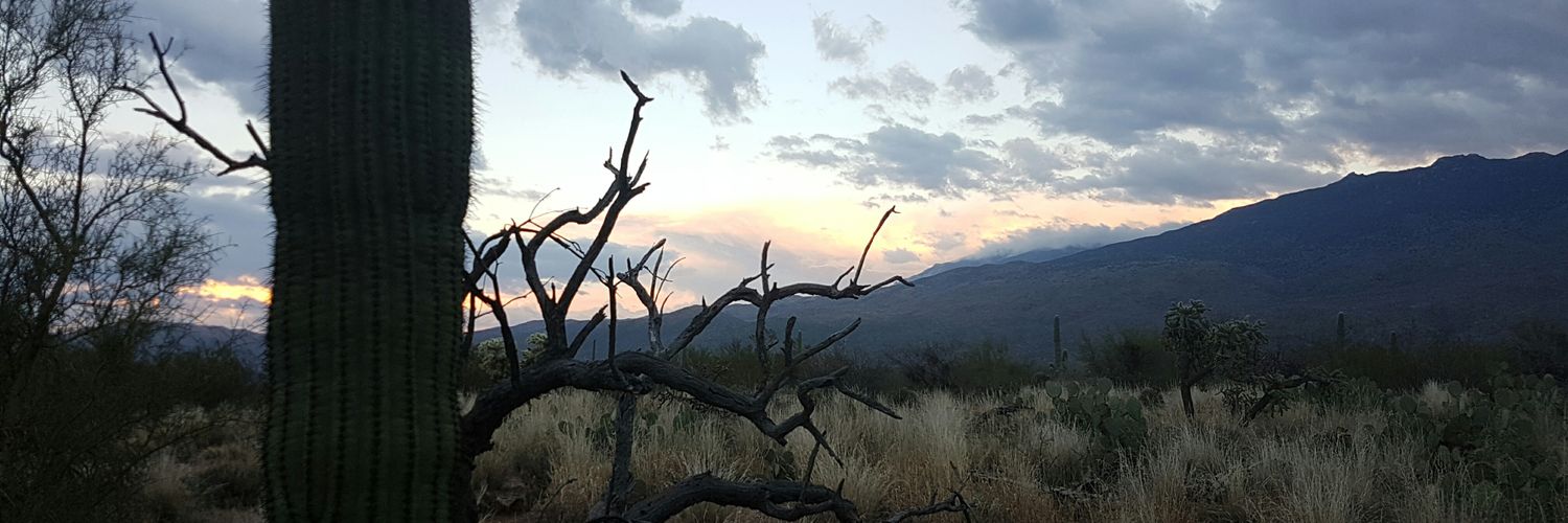 IsabelSetFree's profile banner image