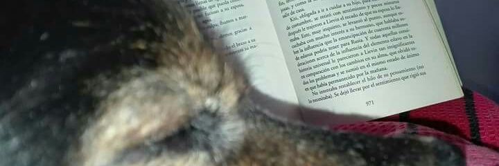 gaby_e_a's profile banner image