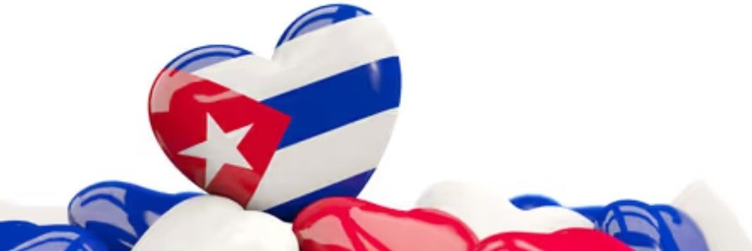 DanayGuantanamo's profile banner image