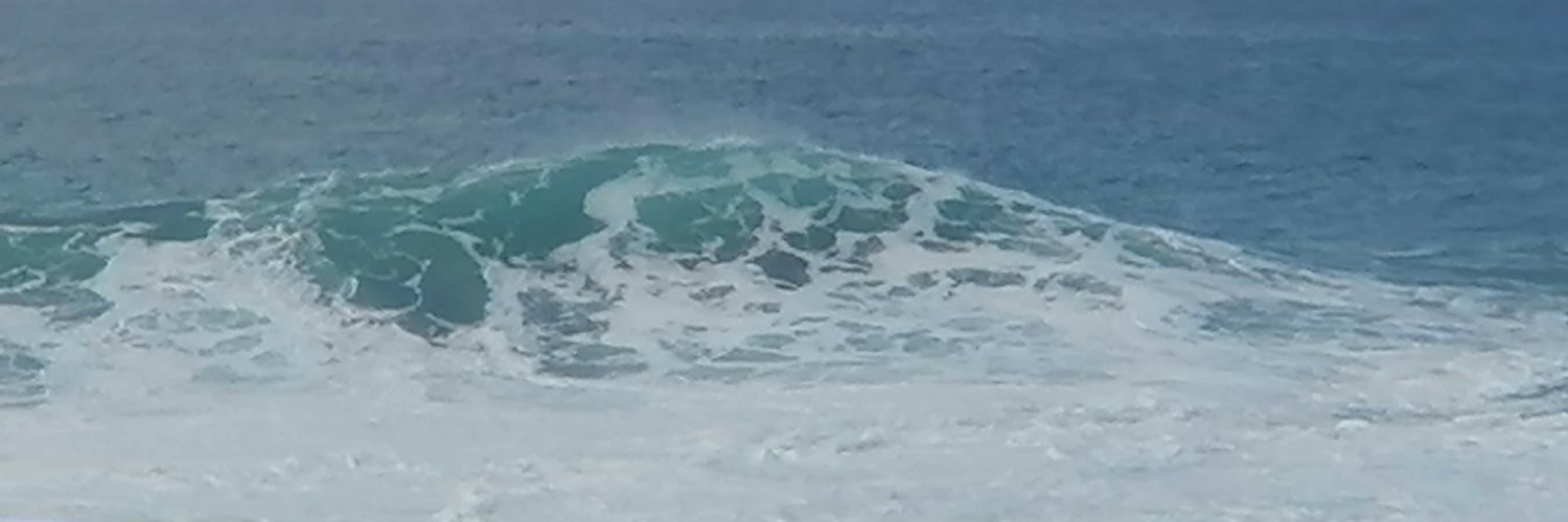 César Santana banner