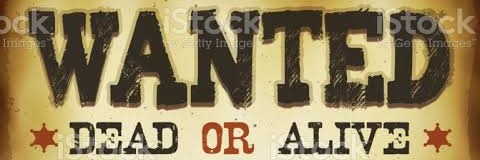 _Wanted_Sniper's profile banner image
