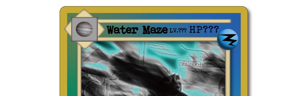 M̶S̶K̶N̶G̶ banner