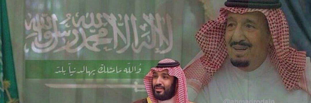 NaderAliAlabry's profile banner image