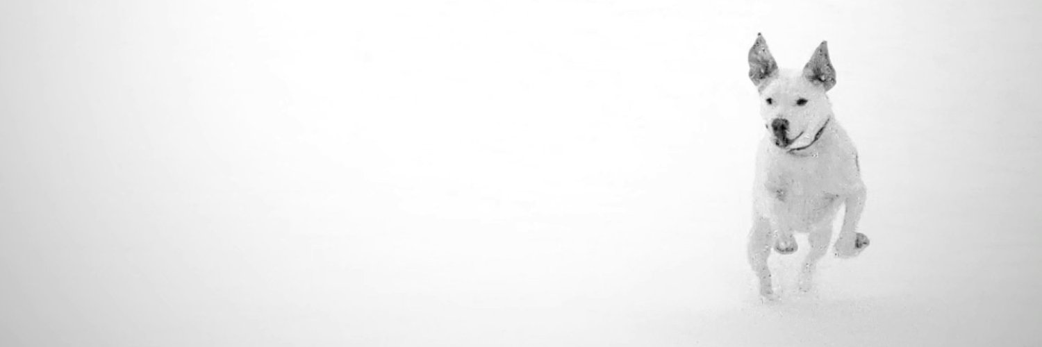 Seth banner