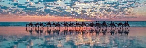 ABCarolineD Profile Banner