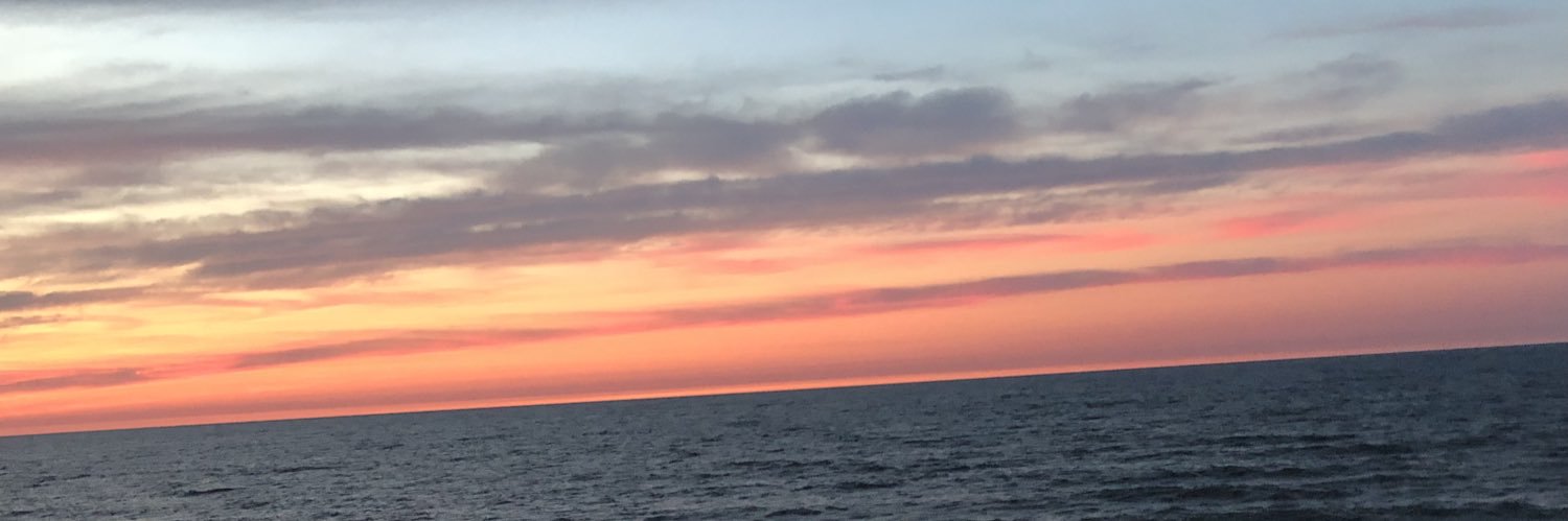 notzdeviltho's profile banner image