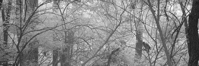 oplakany's profile banner image