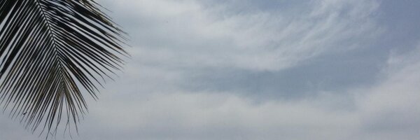 Mikeyboss Profile Banner