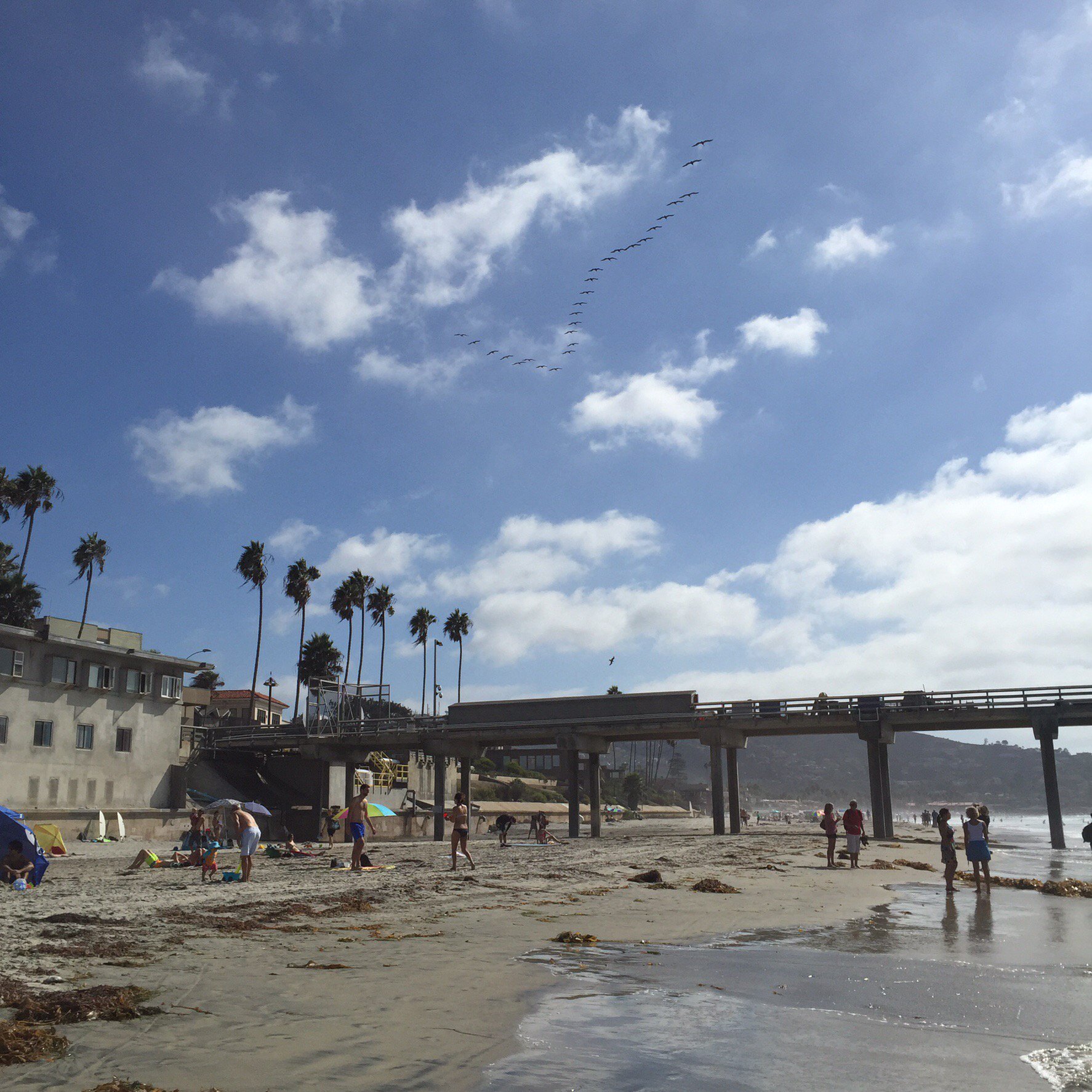 John Christopher banner