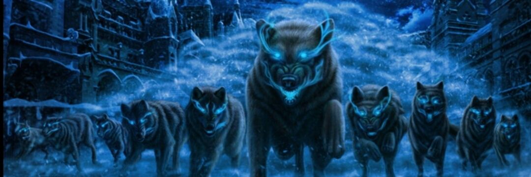 abusalah69's profile banner image