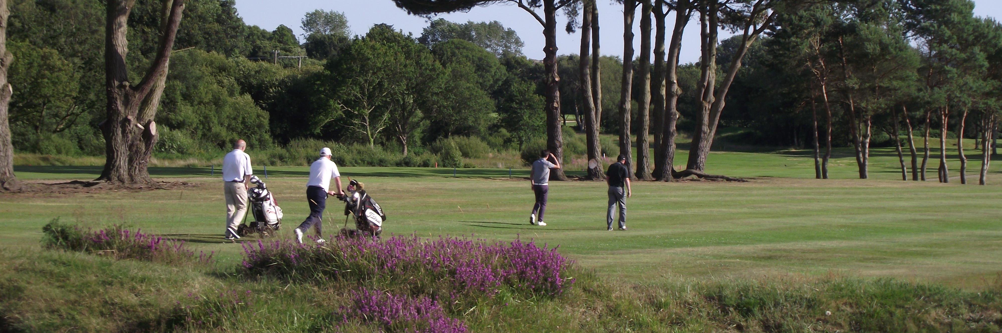 Shanklin Sandown GC banner