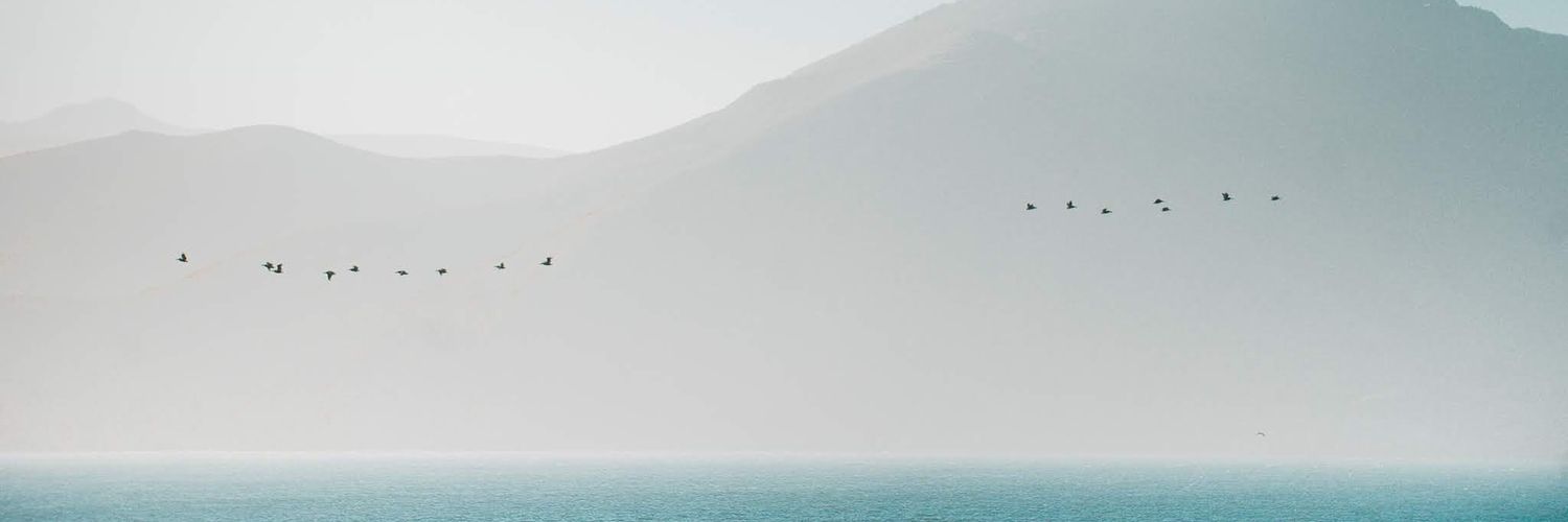 jamielihan's profile banner image