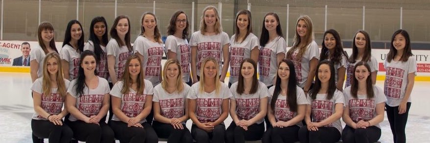 MiamiIceSkating's profile banner image