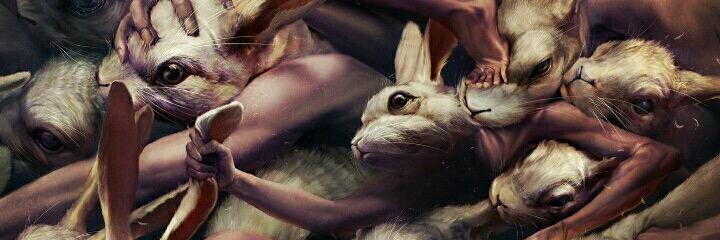 david__lili's profile banner image