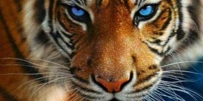 LuuBarragan's profile banner image