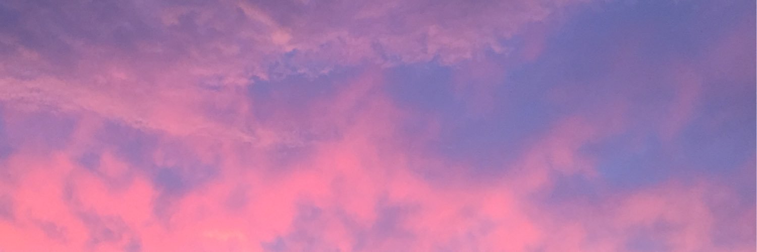 junx0830x's profile banner image