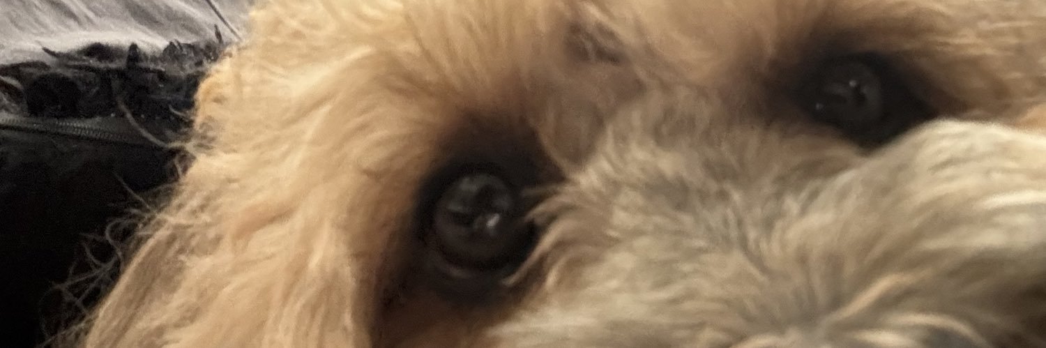 tomhogan98's profile banner image