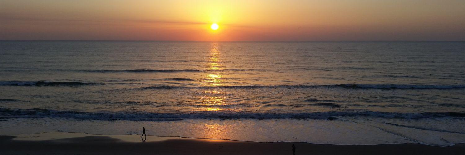 BlackLadyBug 🐞 banner