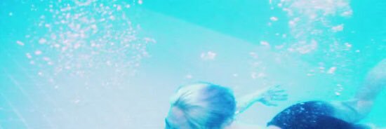 __Papilio's profile banner image