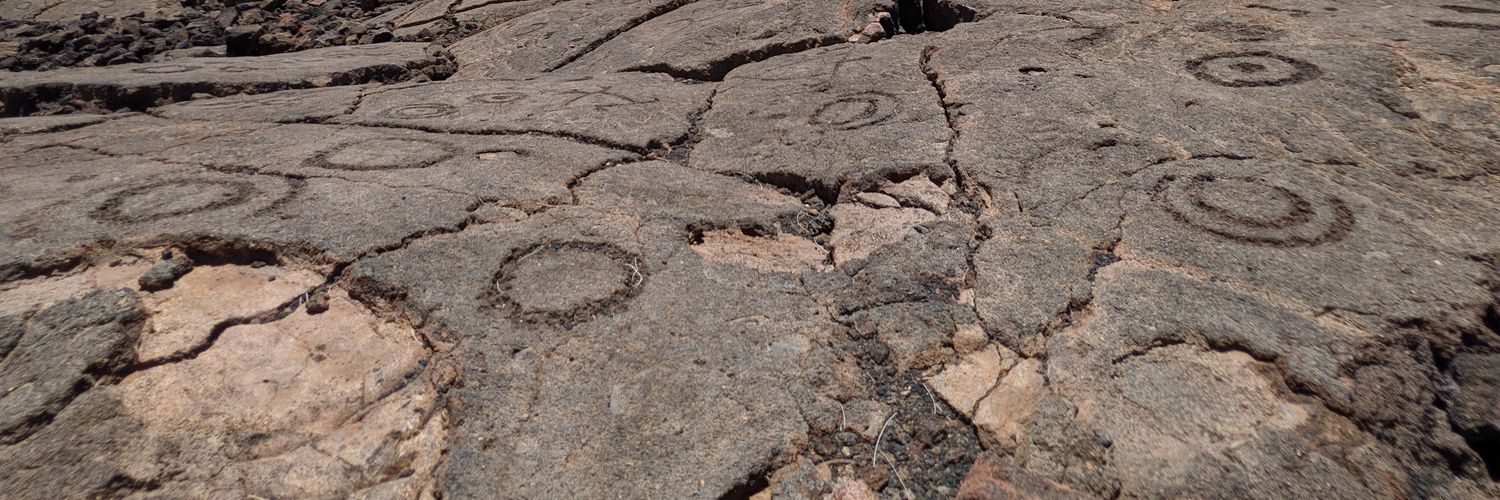 Darren 'Trader Yahu' Perlmutter banner