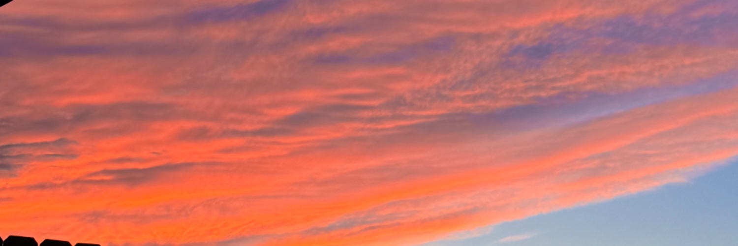 thatsrach's profile banner image