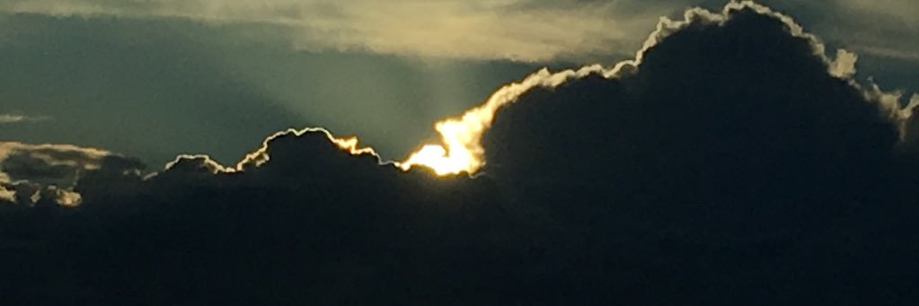 ThePlaidLantern's profile banner image