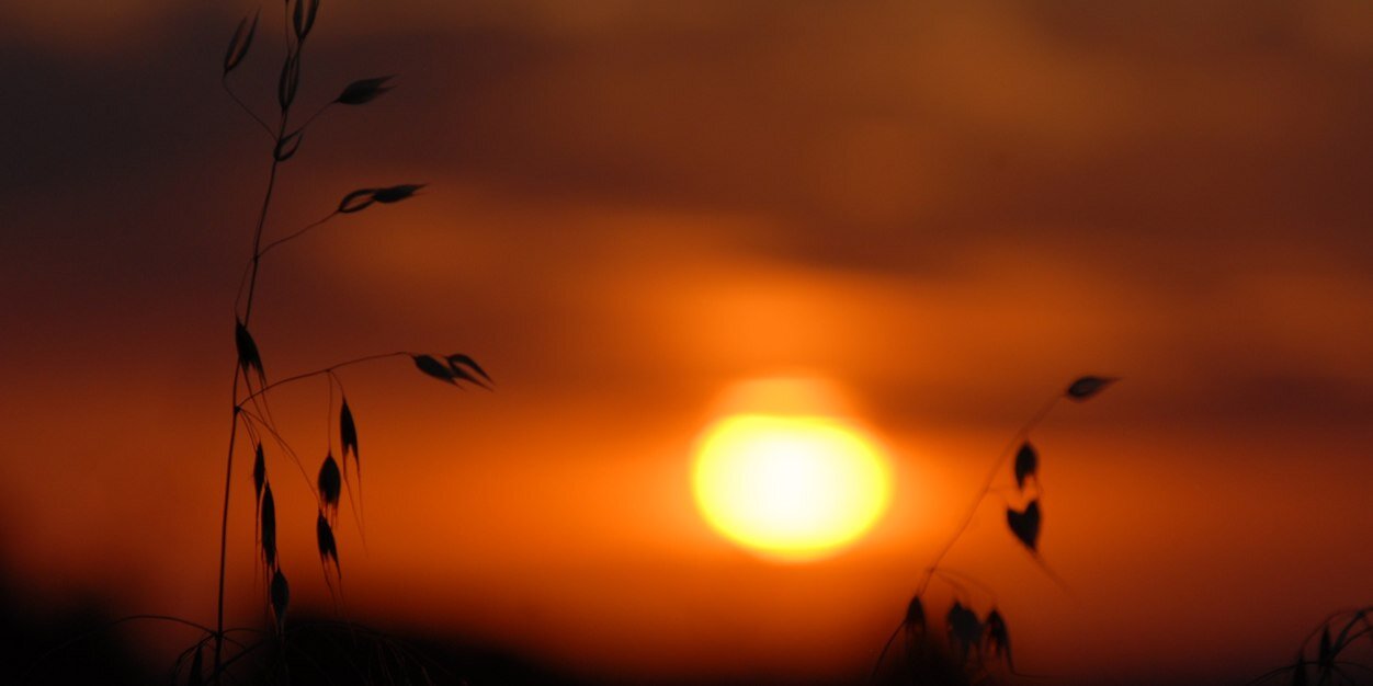 TamarVoskamp's profile banner image