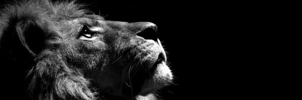 MarcChandler_'s profile banner image