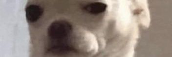 𝐁𝐨𝐛𝐚𝐞 banner