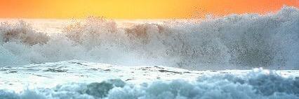 trinityfox9's profile banner image