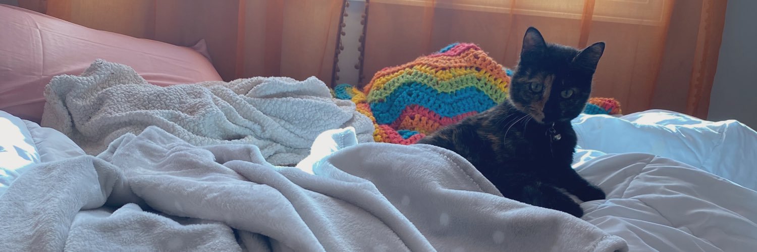 michellekbauer's profile banner image