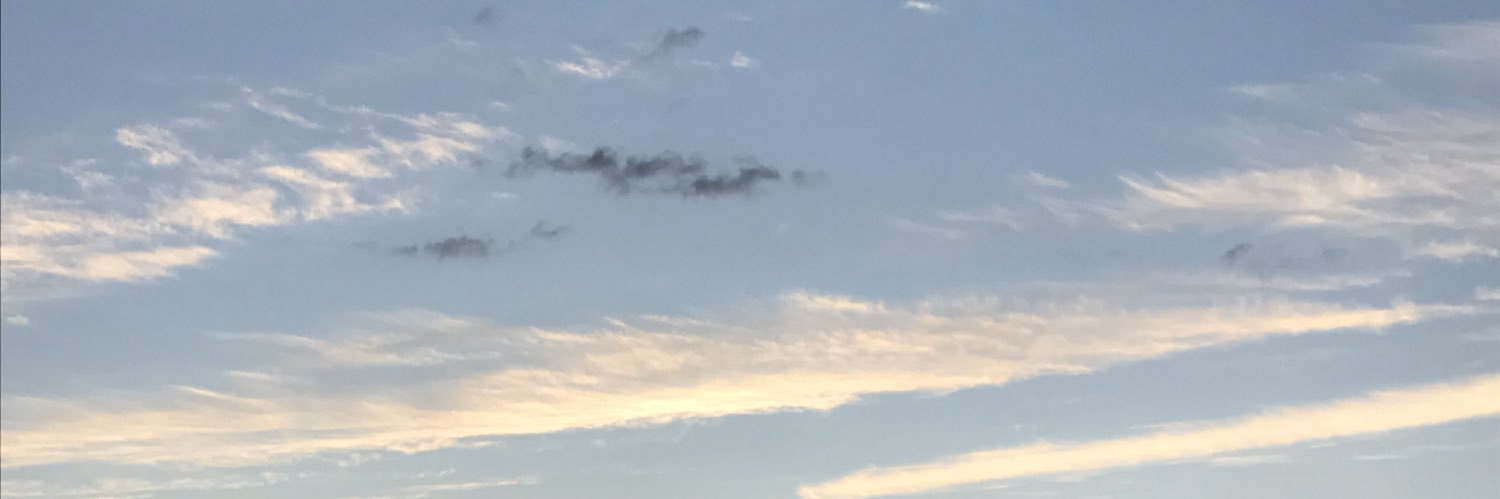 onioni_16's profile banner image