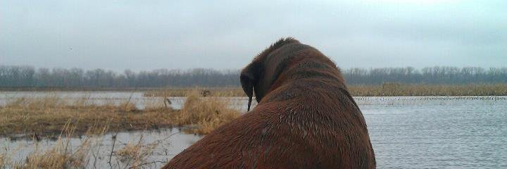 bentonagel's profile banner image