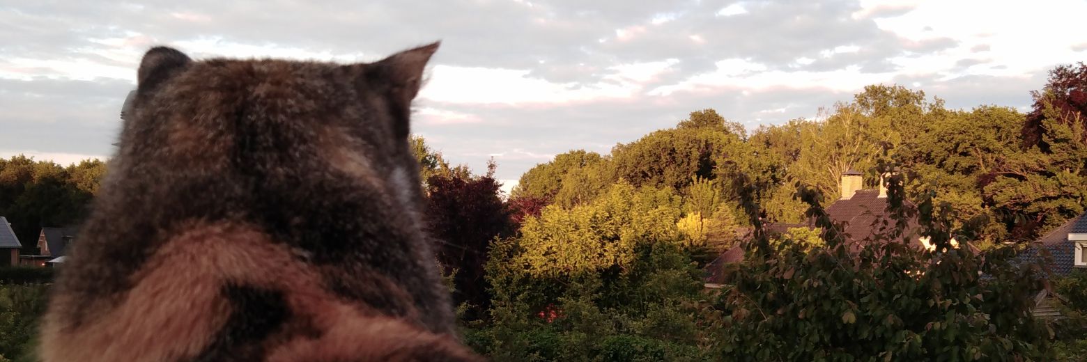 VeldLot's profile banner image