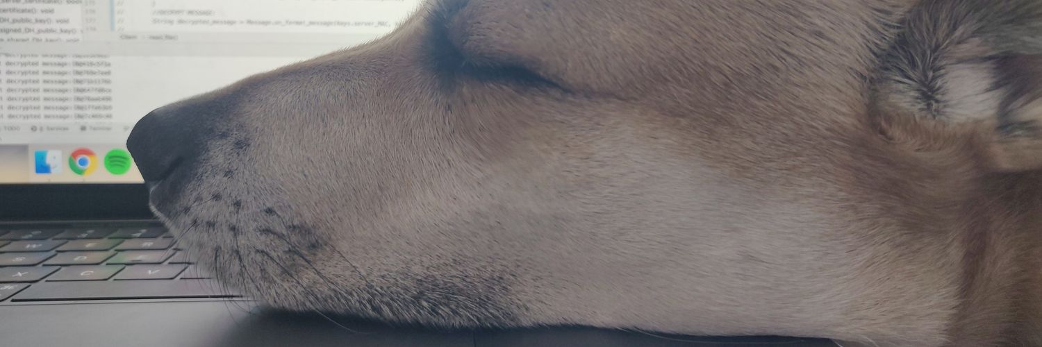 ari_pickard's profile banner image