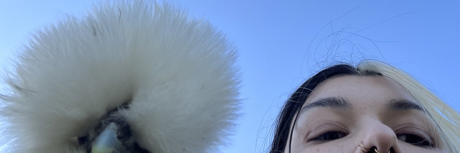 LeslieFury's profile banner image